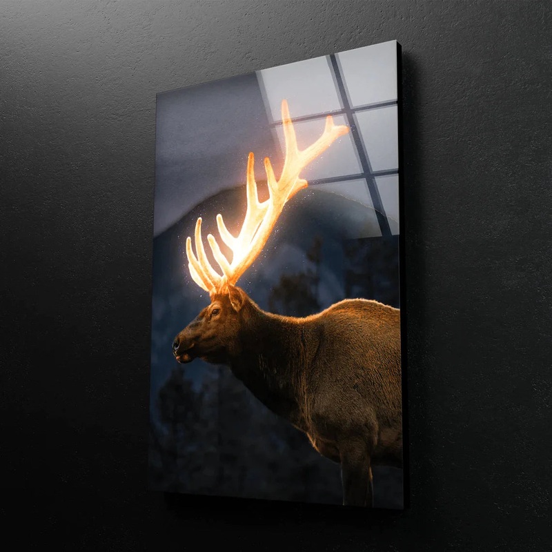 Deer with Shiny Antler UV Direct Aluminum Print Australian Made Quality