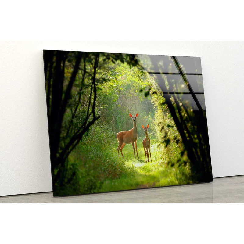 Deers in Forest View UV Direct Aluminum Print Australian Made Quality