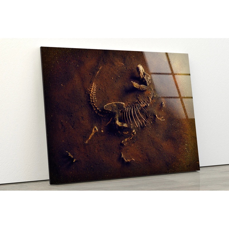 Dinosaur Fossil View UV Direct Aluminum Print Australian Made Quality