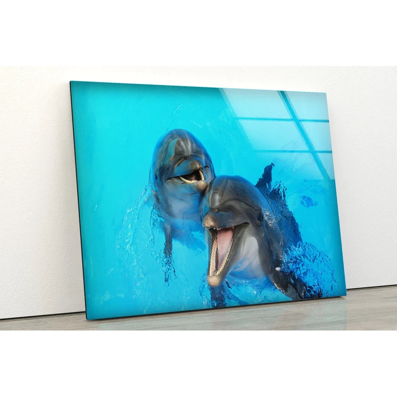 Dolphins in Pool View UV Direct Aluminum Print Australian Made Quality