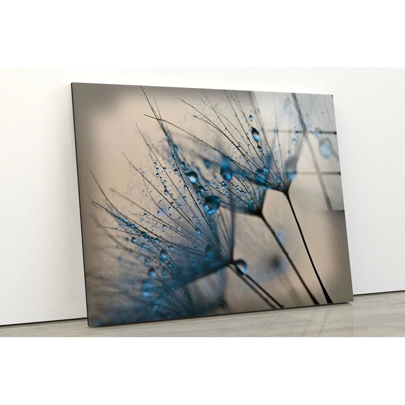 Droplet on Dandelions UV Direct Aluminum Print Australian Made Quality