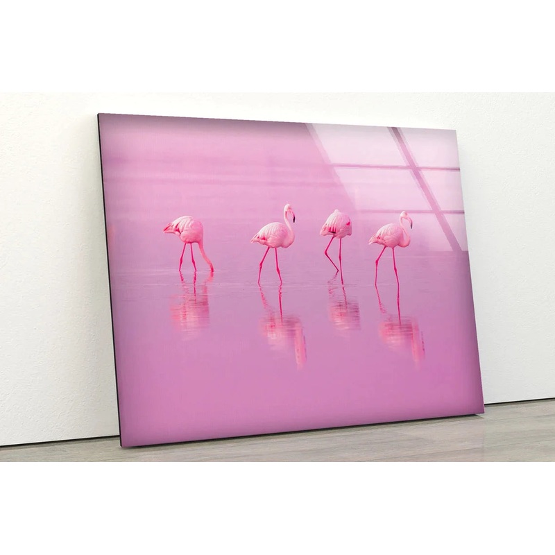 Flamingo Birds on Water UV Direct Aluminum Print Australian Made Quality