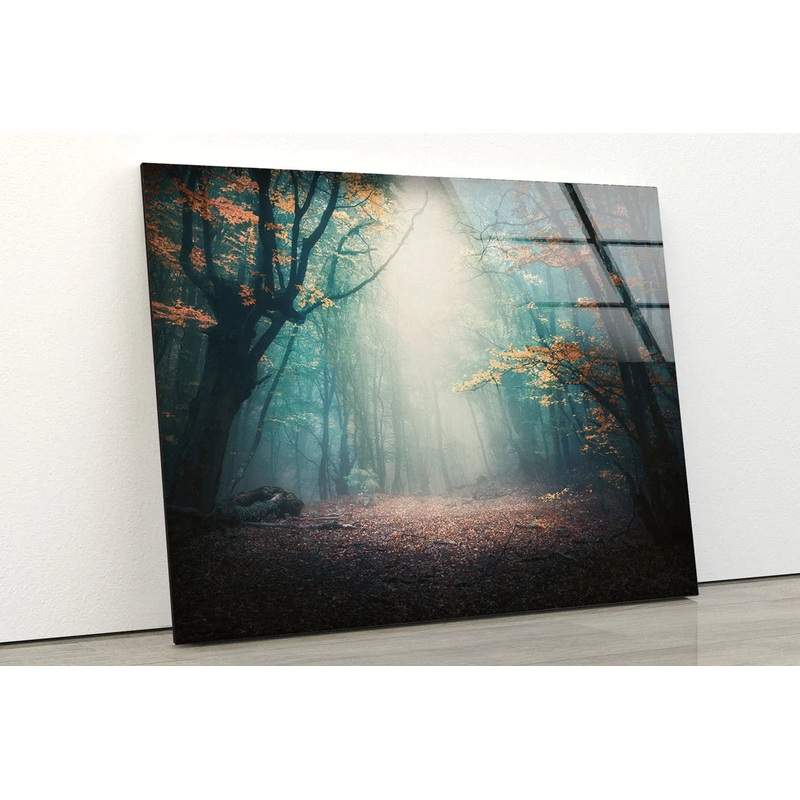 Misty Autumn Forest UV Direct Aluminum Print Australian Made Quality