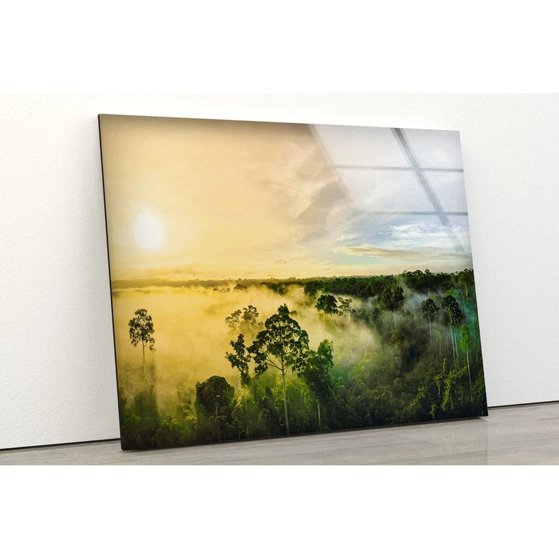 Misty Forest Sky View UV Direct Aluminum Print Australian Made Quality