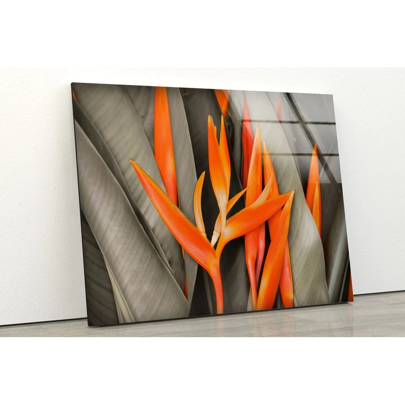 Orange Flowers Closeup UV Direct Aluminum Print Australian Made Quality