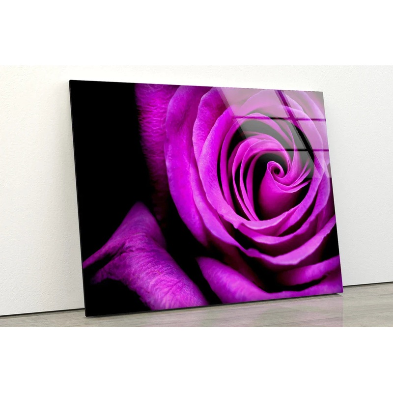 Pink Rose Flower Petals UV Direct Aluminum Print Australian Made Quality