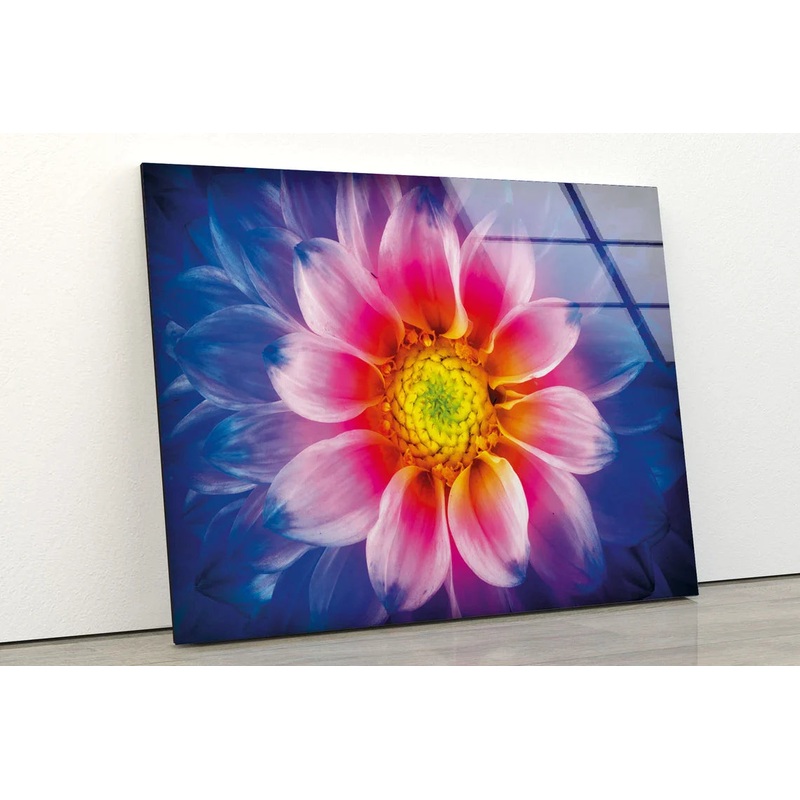 Pink Yellow Flower View UV Direct Aluminum Print Australian Made Quality