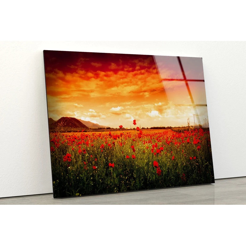 Red Flower Field Sunset UV Direct Aluminum Print Australian Made Quality