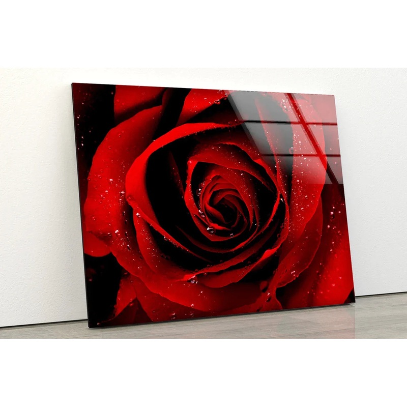 Red Rose Closeup View UV Direct Aluminum Print Australian Made Quality