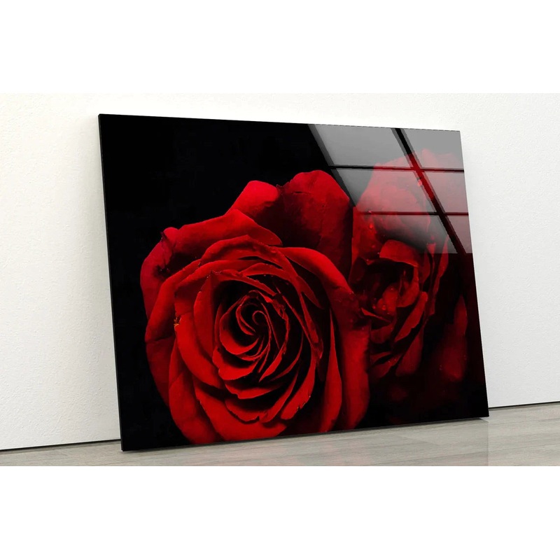 Red Rose Flowers Dark UV Direct Aluminum Print Australian Made Quality