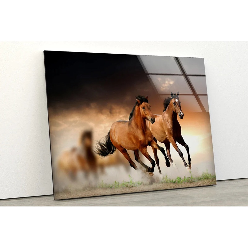 Running Horses Field UV Direct Aluminum Print Australian Made Quality