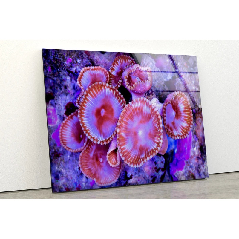 Sea Corals Closeup UV Direct Aluminum Print Australian Made Quality