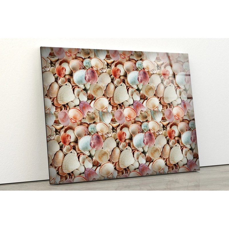 Sea Shells Photograph UV Direct Aluminum Print Australian Made Quality