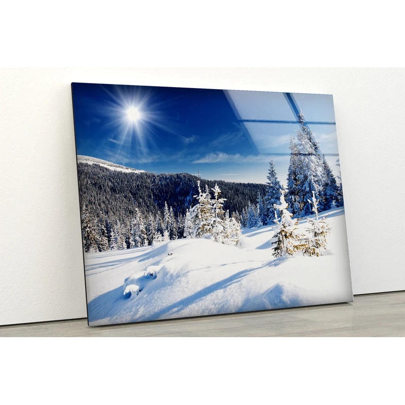 Snow Covered Forest UV Direct Aluminum Print Australian Made Quality
