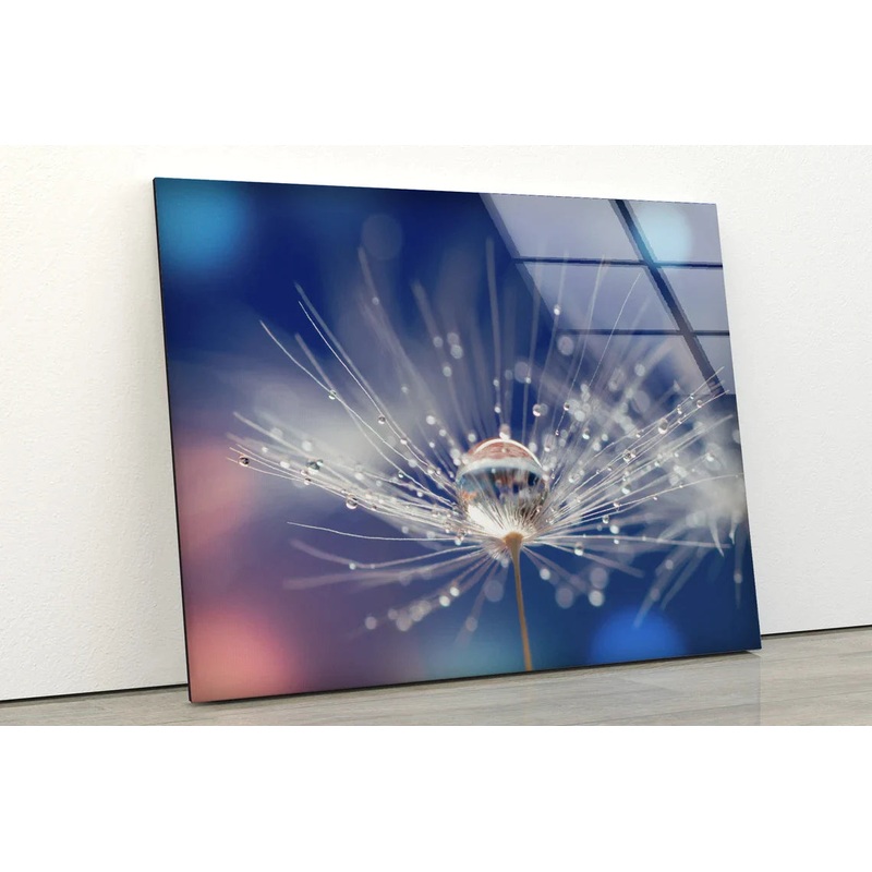 Water Drops Dandelion UV Direct Aluminum Print Australian Made Quality