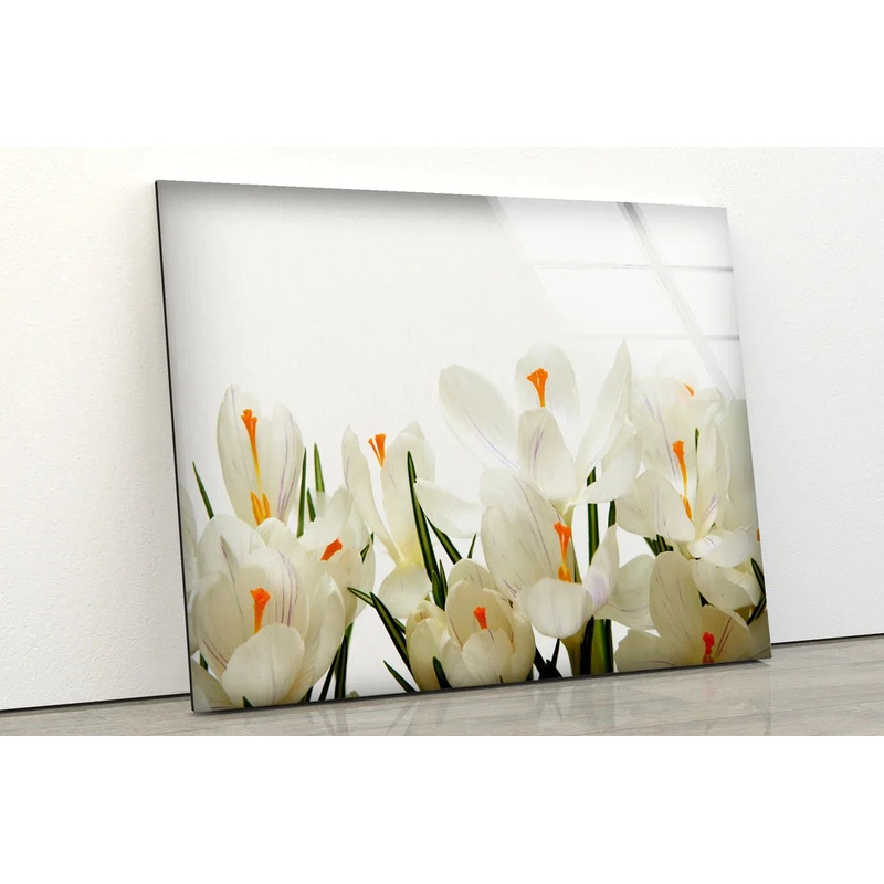 White Flowers View UV Direct Aluminum Print Australian Made Quality