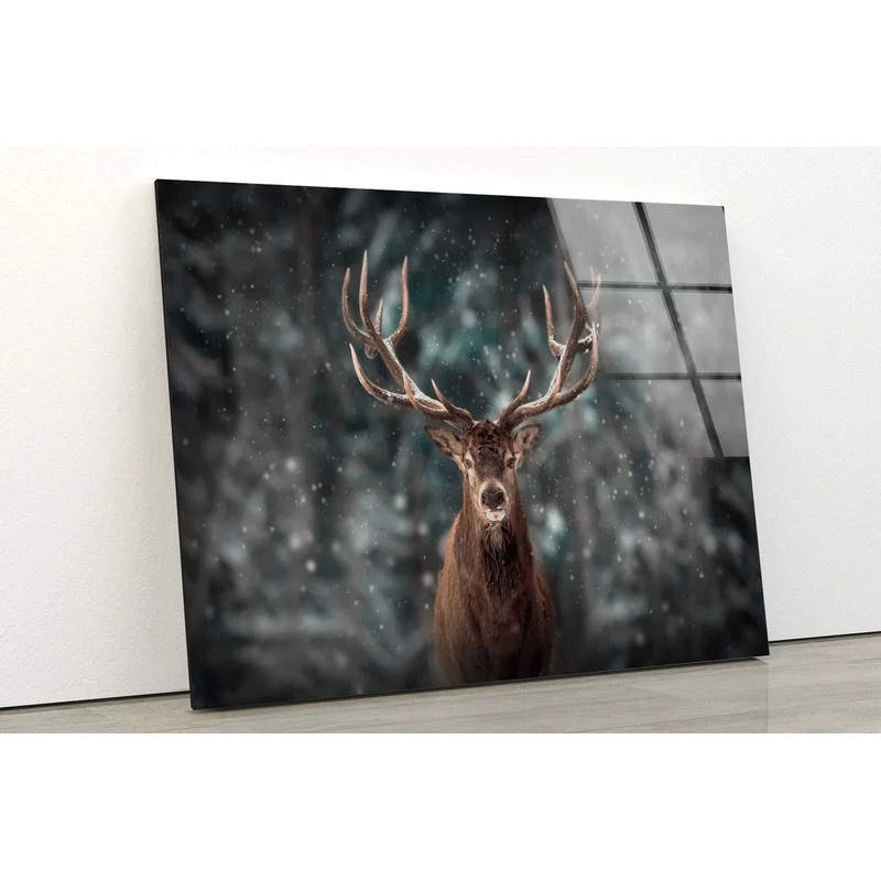 Winter Deer Closeup UV Direct Aluminum Print Australian Made Quality