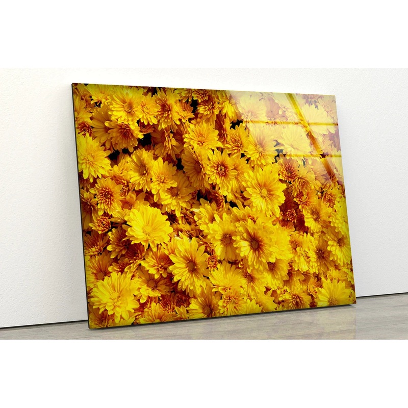 Yellow Daisy Flowers UV Direct Aluminum Print Australian Made Quality