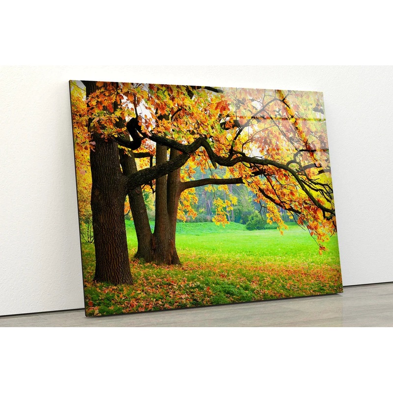 Autumn Trees on Garden UV Direct Aluminum Print Australian Made Quality