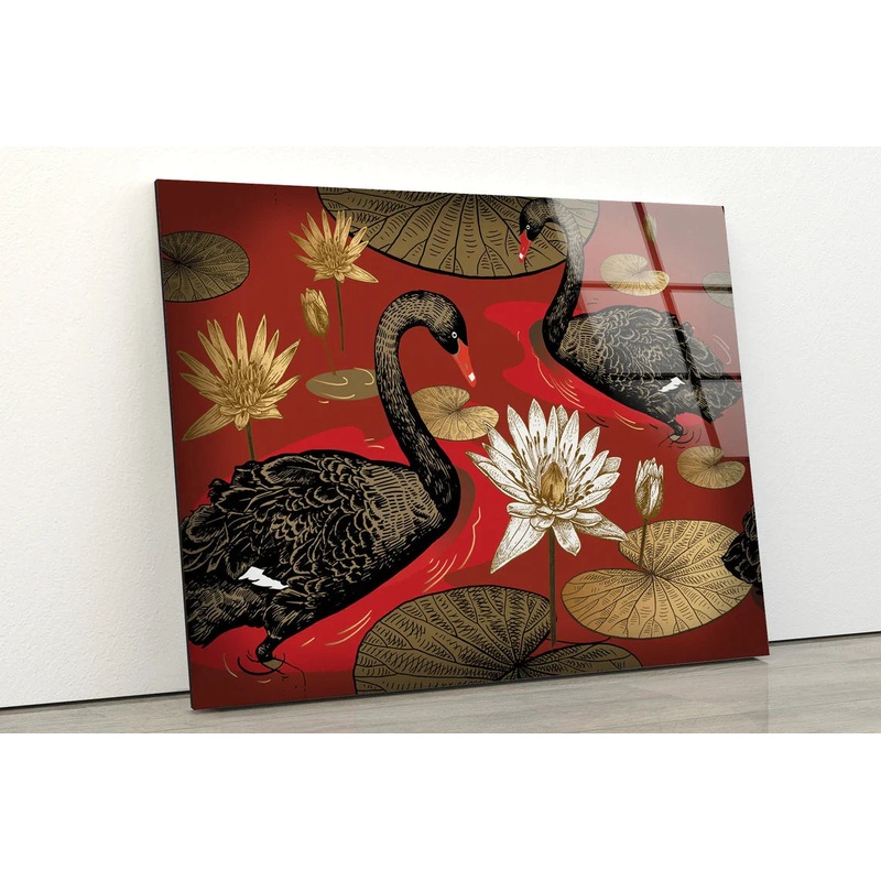 Black Swans on Lake UV Direct Aluminum Print Australian Made Quality