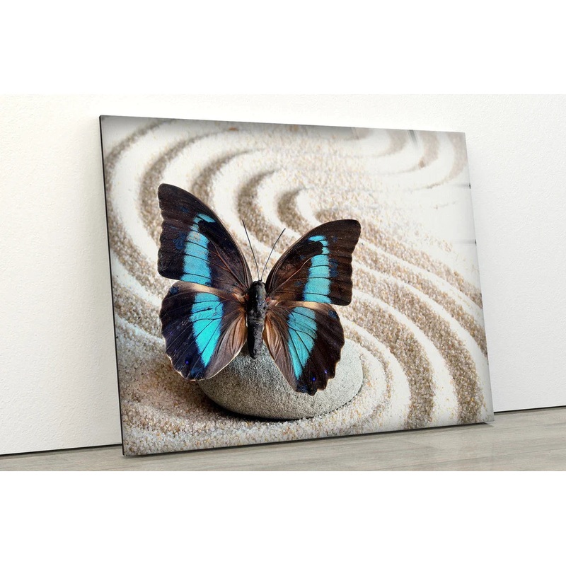 Butterfly on Sand Art UV Direct Aluminum Print Australian Made Quality