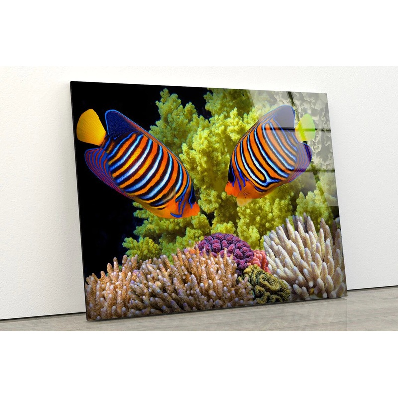 Colorful Fish UV Direct Aluminum Print Australian Made Quality