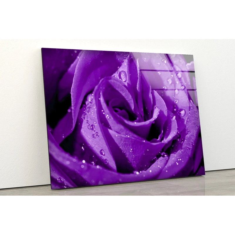 Droplet on Purple Rose UV Direct Aluminum Print Australian Made Quality