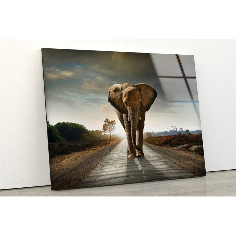 Elephant Walking UV Direct Aluminum Print Australian Made Quality
