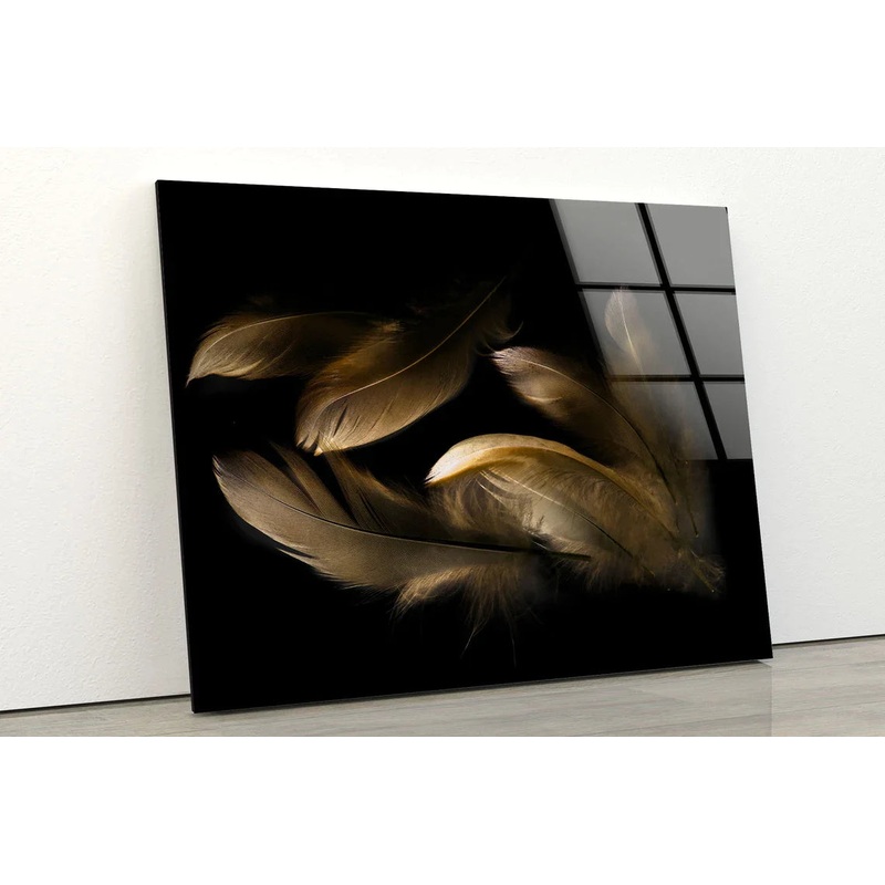Feathers Photograph UV Direct Aluminum Print Australian Made Quality