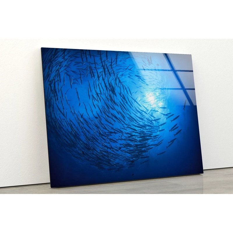 Fish Underwater UV Direct Aluminum Print Australian Made Quality