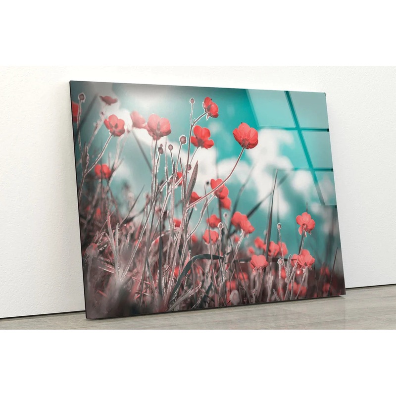 Flower Field & Sky UV Direct Aluminum Print Australian Made Quality