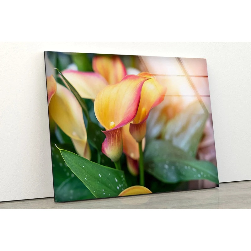 Flowers Closeup UV Direct Aluminum Print Australian Made Quality