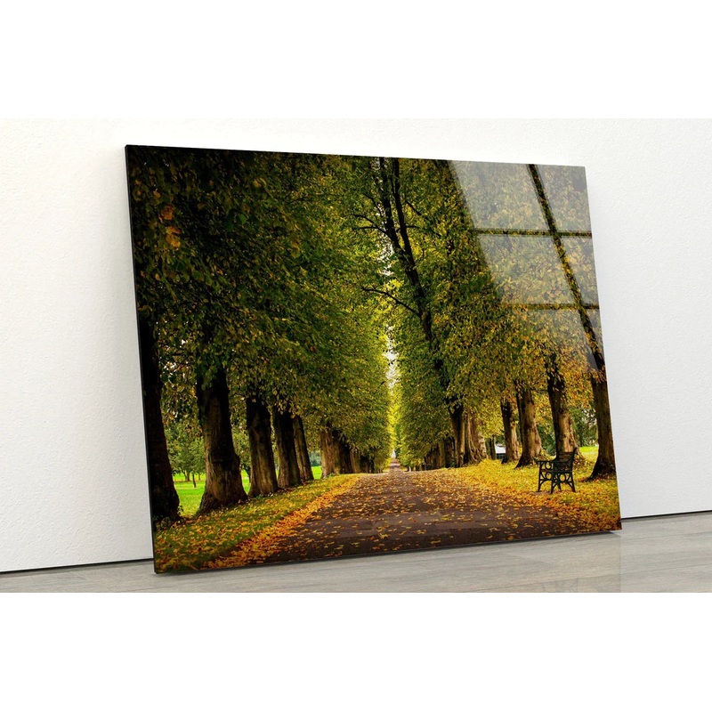 Garden Trees Pathway UV Direct Aluminum Print Australian Made Quality
