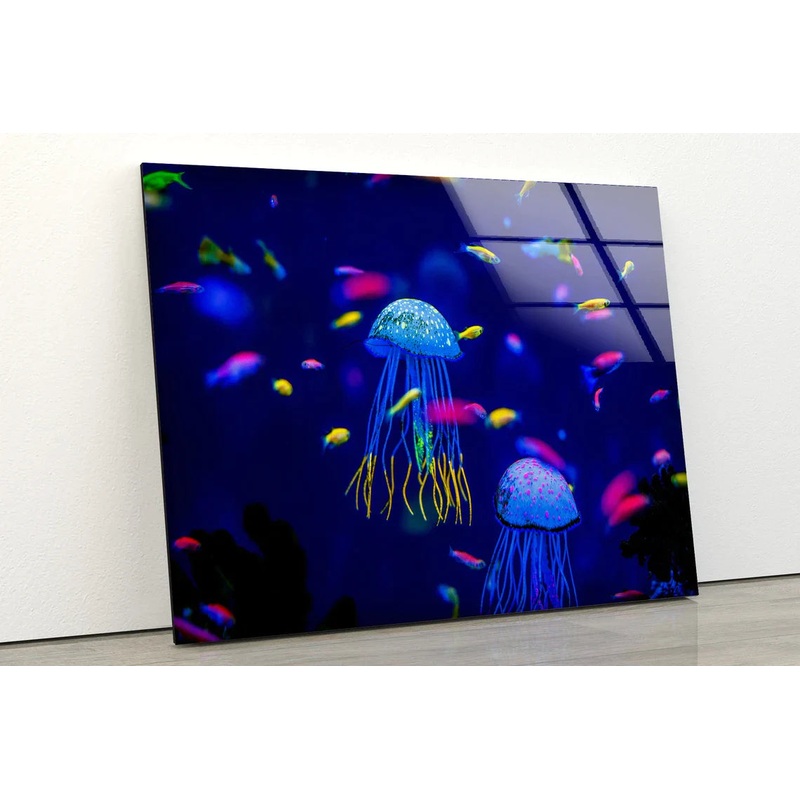 Jelly Fish in Sea UV Direct Aluminum Print Australian Made Quality