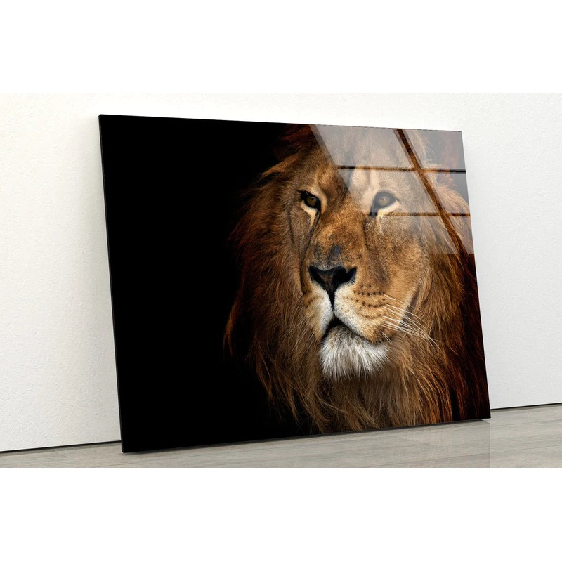 Lion Face Portrait View UV Direct Aluminum Print Australian Made Quality