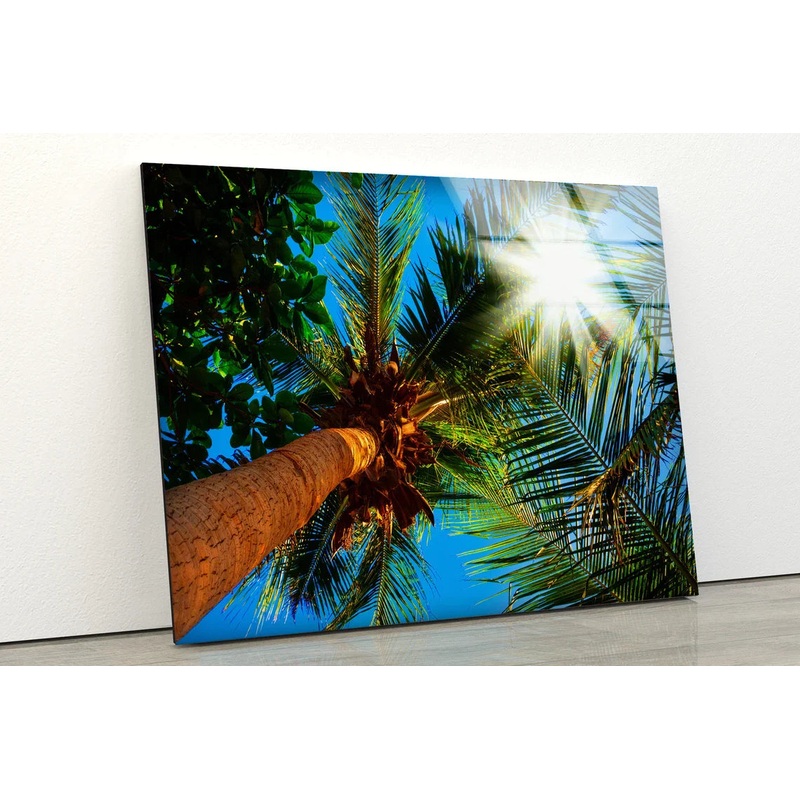 Palm Trees Below View UV Direct Aluminum Print Australian Made Quality