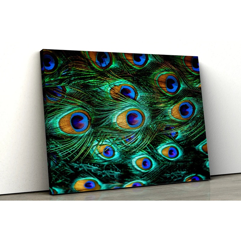 Peacock Feathers UV Direct Aluminum Print Australian Made Quality