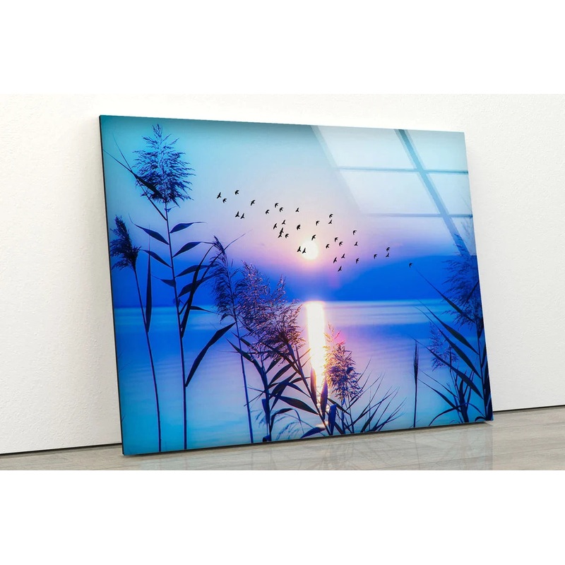 Plants Near Lake Sunset UV Direct Aluminum Print Australian Made Quality