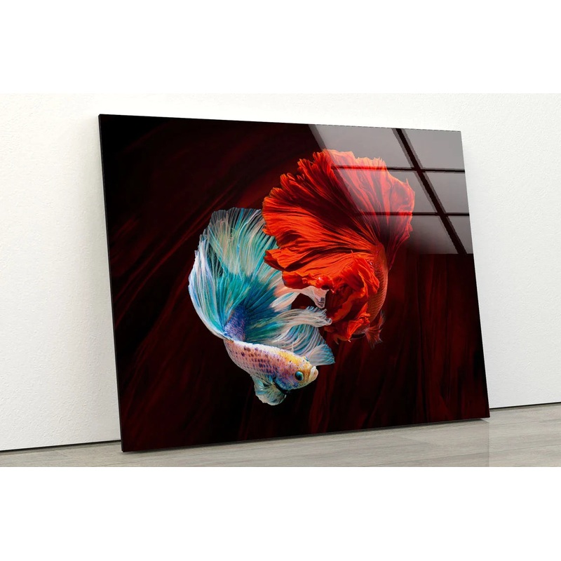 Red & White Fighter UV Direct Aluminum Print Australian Made Quality