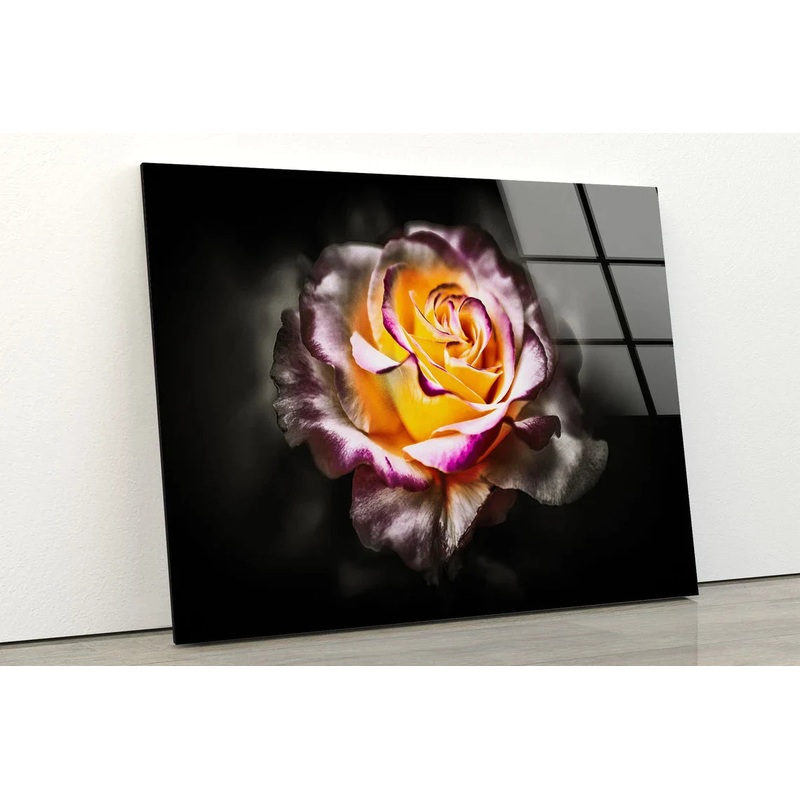 Rose Flower Closeup UV Direct Aluminum Print Australian Made Quality