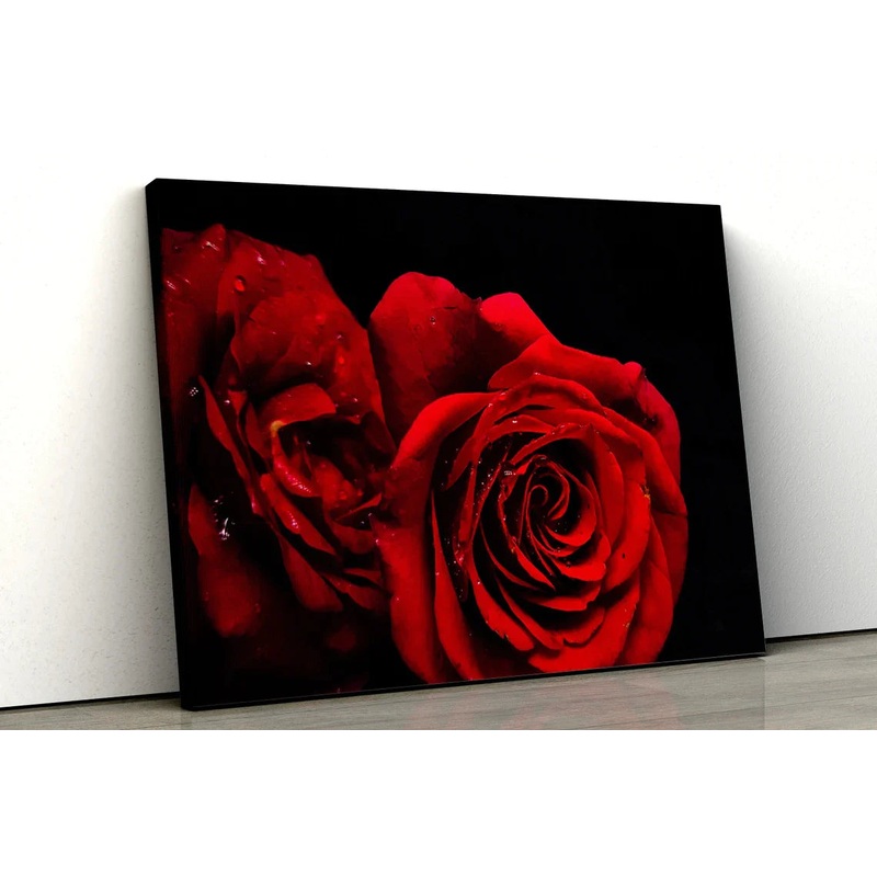 Rose Flowers Closeup UV Direct Aluminum Print Australian Made Quality