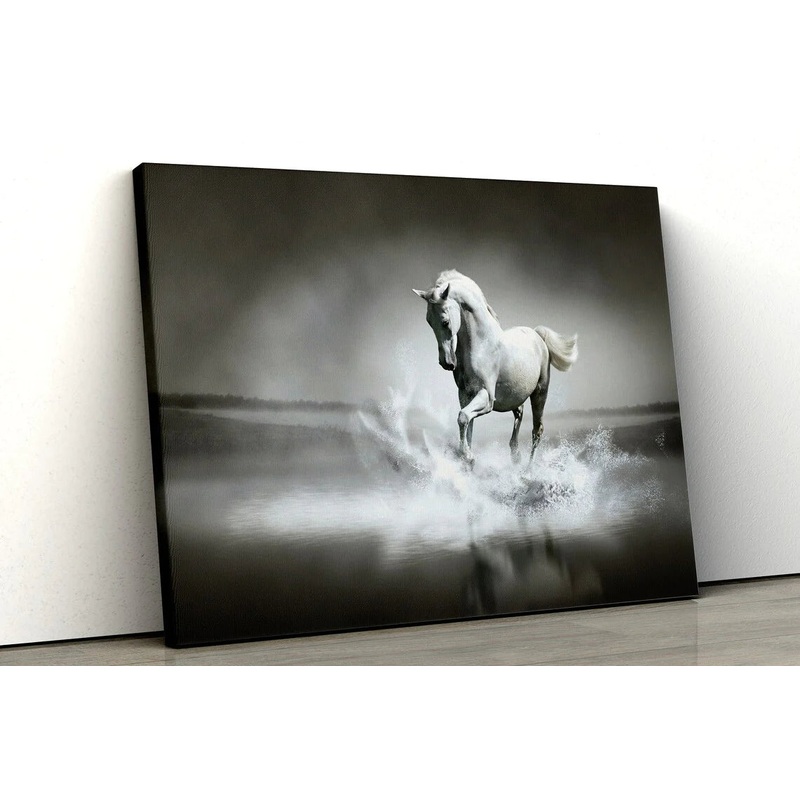 Running Horse B&W UV Direct Aluminum Print Australian Made Quality