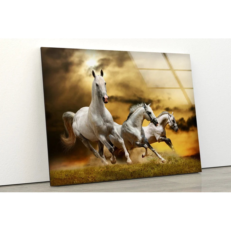Running Horses Sunset UV Direct Aluminum Print Australian Made Quality