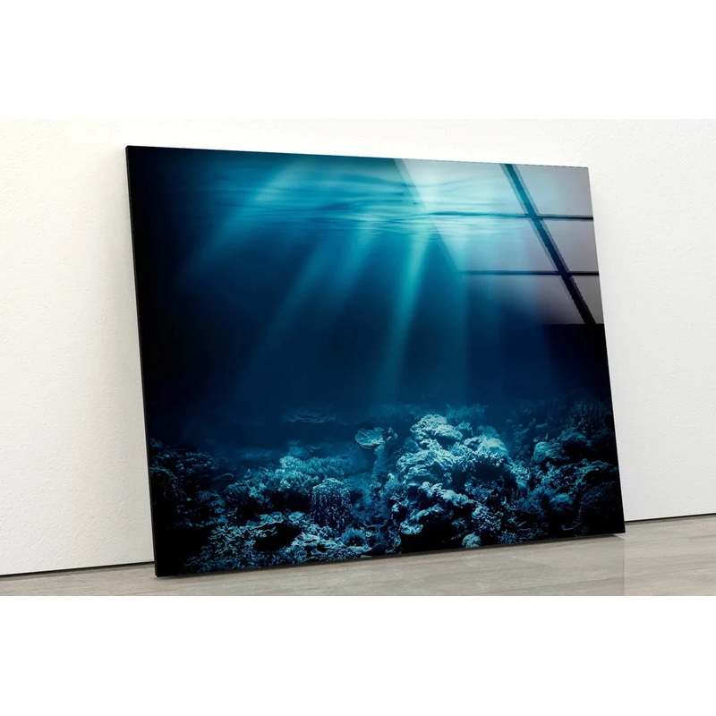 Sea Underwater View UV Direct Aluminum Print Australian Made Quality