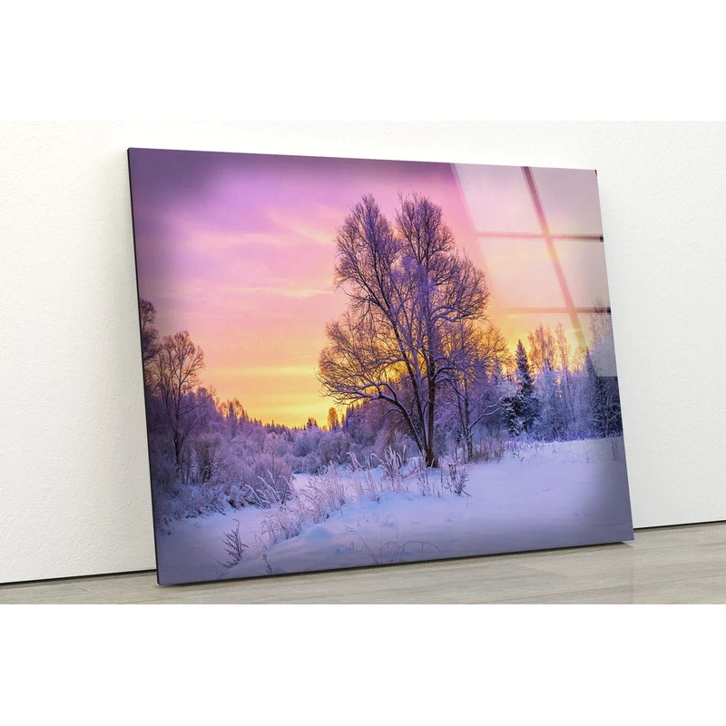 Snow Covered Trees UV Direct Aluminum Print Australian Made Quality