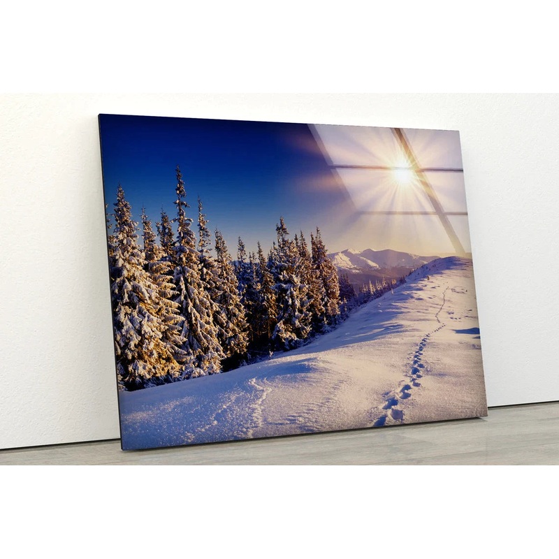 Snow Pine Forest View UV Direct Aluminum Print Australian Made Quality
