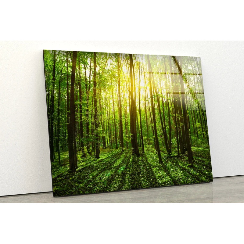Stunning Green Forest UV Direct Aluminum Print Australian Made Quality