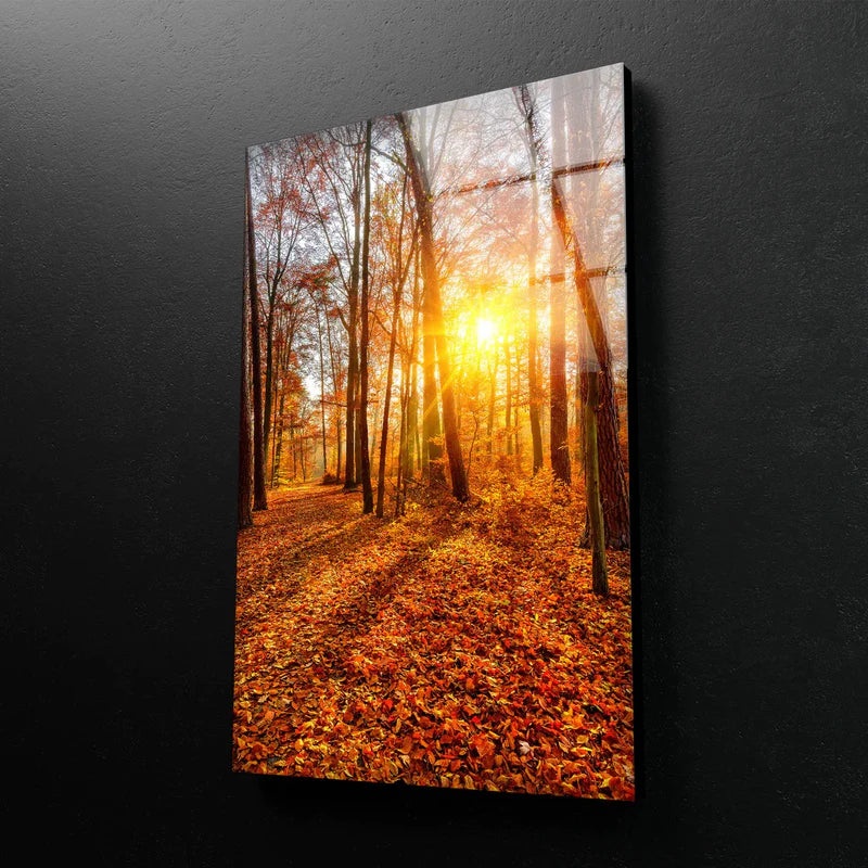 Sunrays Forest Sunset UV Direct Aluminum Print Australian Made Quality