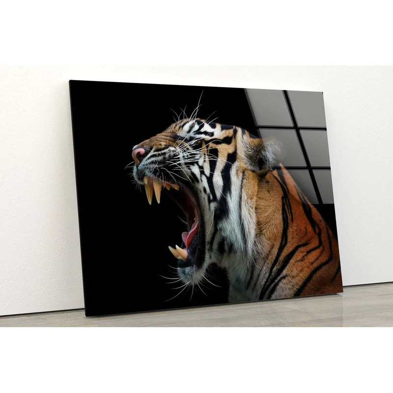 Tiger Face Closeup UV Direct Aluminum Print Australian Made Quality