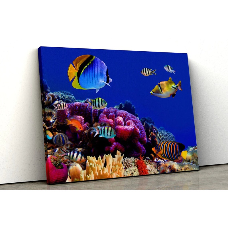 Underwater Marine Life UV Direct Aluminum Print Australian Made Quality